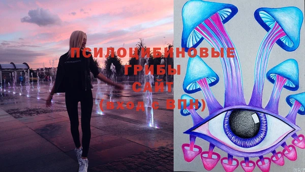 стафф Арсеньев