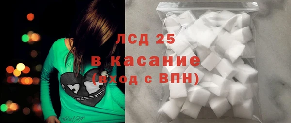 стафф Арсеньев