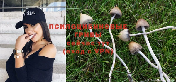 мдма Армянск