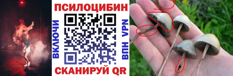 Псилоцибиновые грибы мицелий  Кукмор 